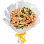 Букет из 25 караловых альстромерий